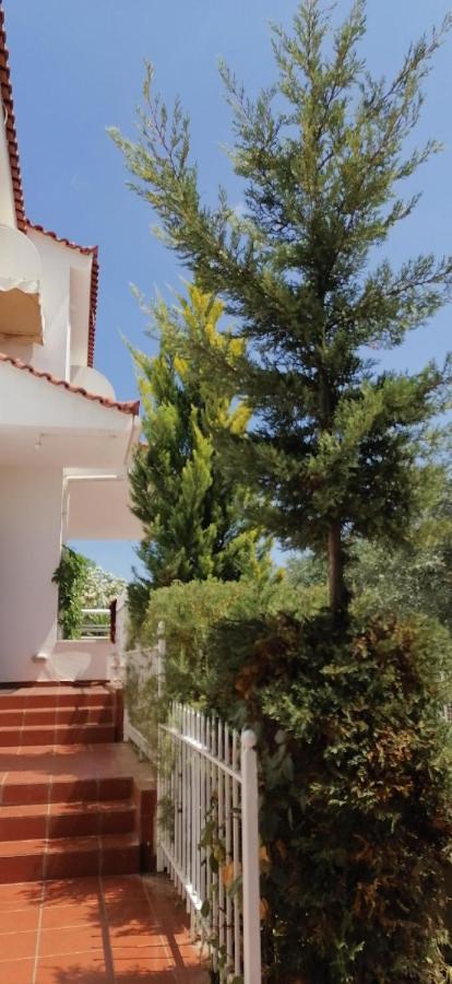 Ευχάριστη Βίλα Στη Χαλκίδα Στην Περιοχή "Αλυκές" Dış mekan fotoğraf